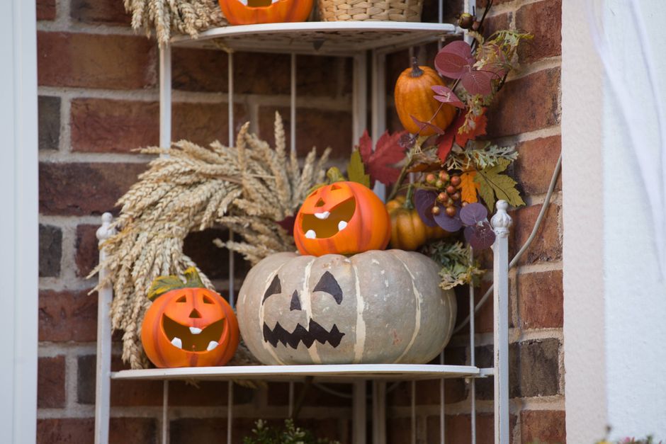 Choosing a Carving Pumpkin for Indoor Display
