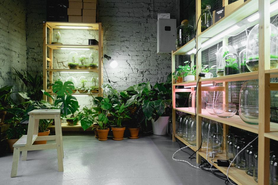 Clean Indoor Growing Setup: 3 Smart Tidy Solutions
