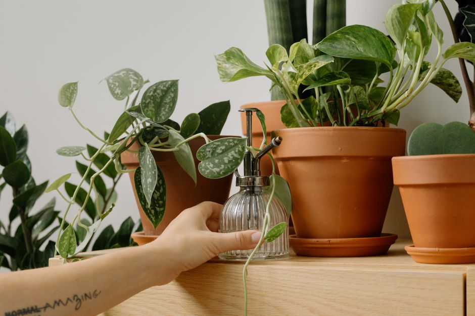 DIY Self-Watering Planter: Grow More, Water Less