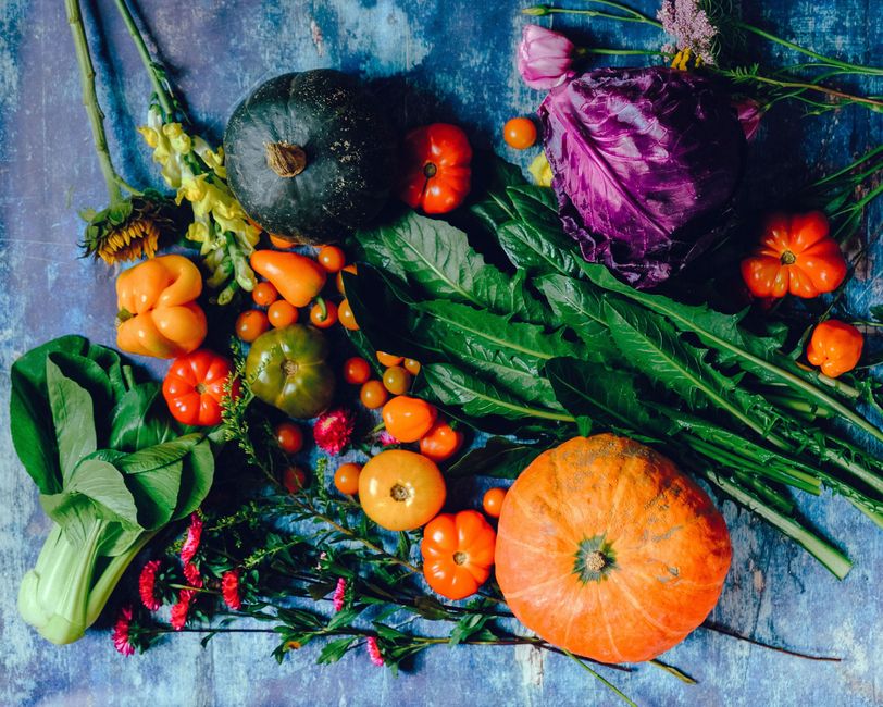 Fast-Growing Indoor Fall Vegetables: Your Quick Harvest Guide
