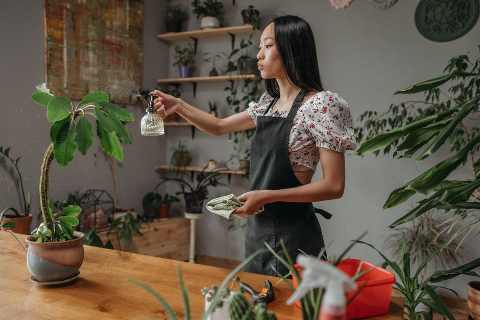 Heat Wave Plant Care: 7 Things Never to Do