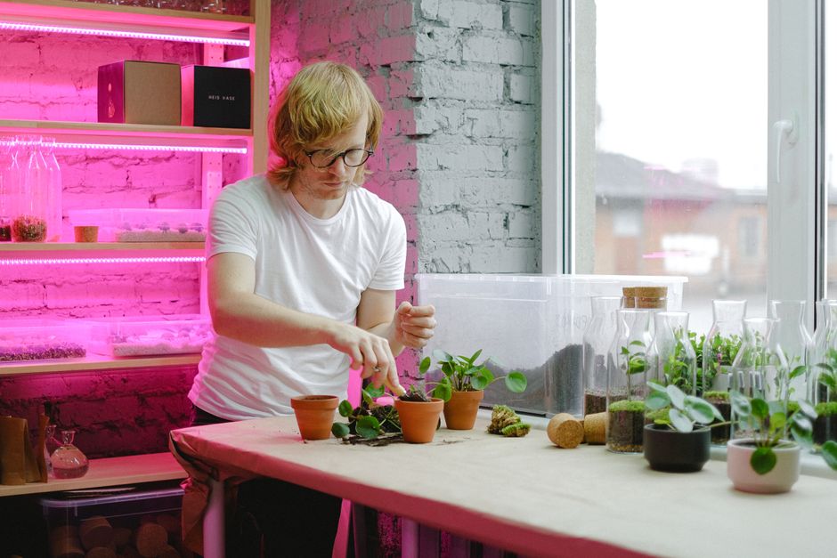 How Long to Run Grow Lights for Indoor Plants?