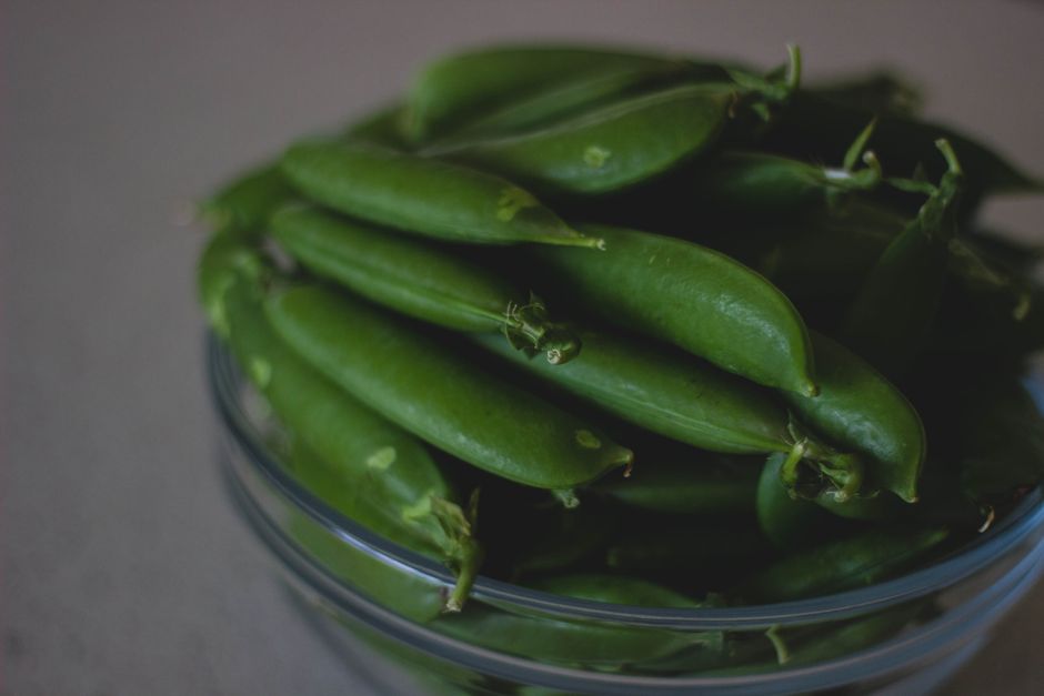 How to Harvest Pea Shoots for the Best Flavor