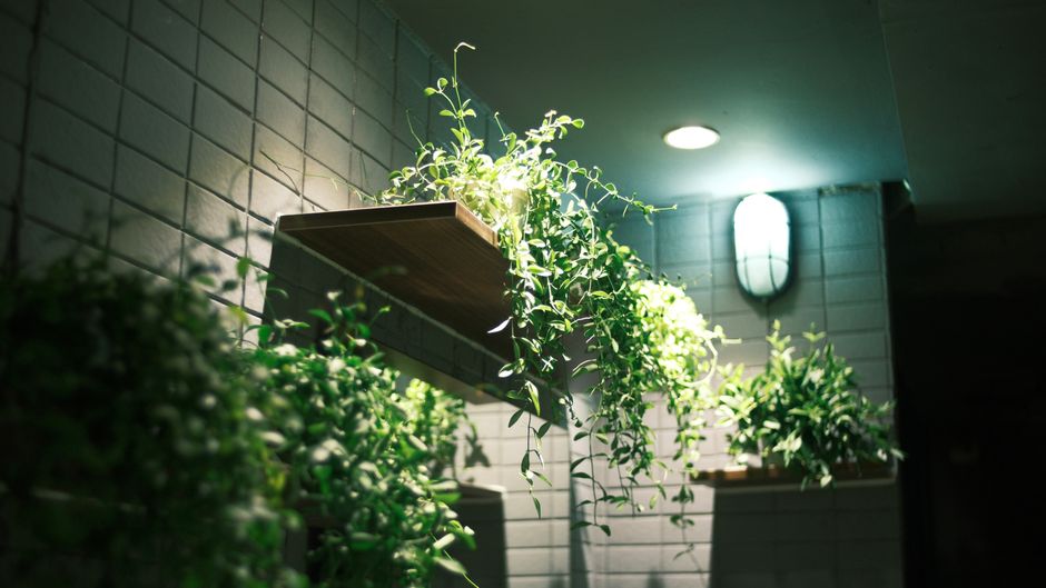 Mount Grow Lights in Small Spaces: Your Easy Guide